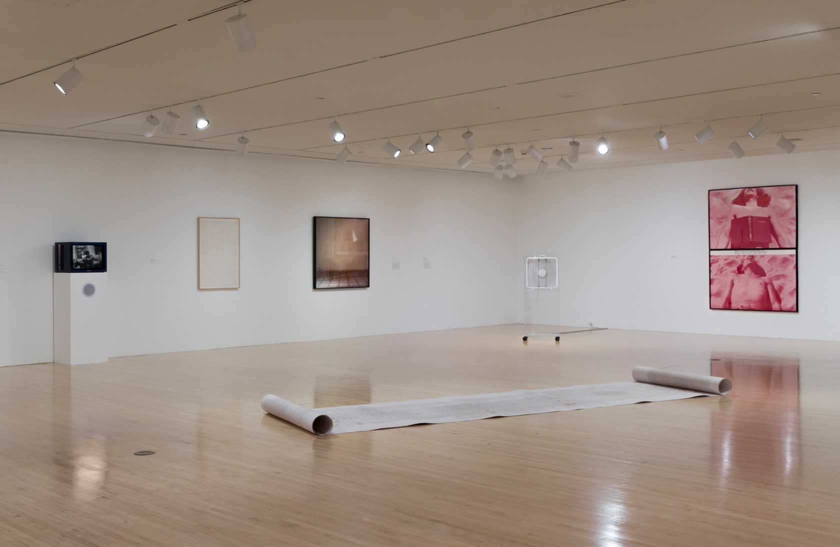 Installation view of Evidence: Selections from the Collection by Jeff McLane.